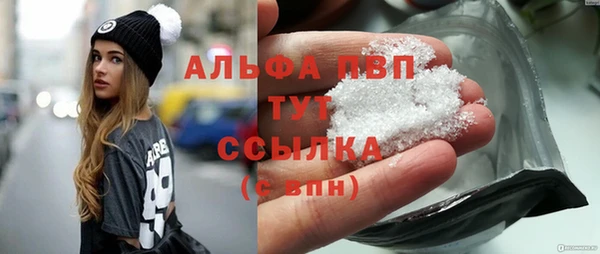 прущий лед Вязьма