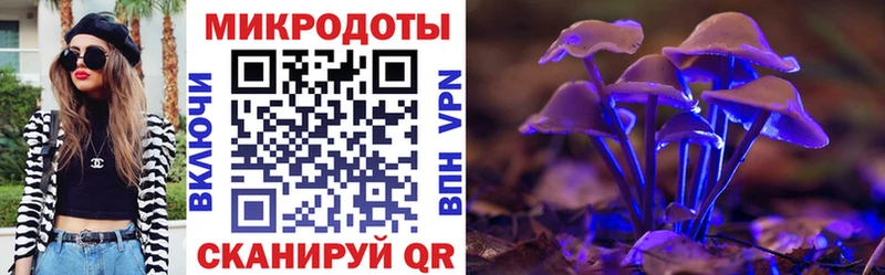 Купить закладки  Березники  Псилоцибиновые грибы Psilocybe 
