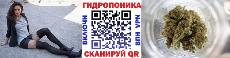МАРИХУАНА план  Купить где  Березники 